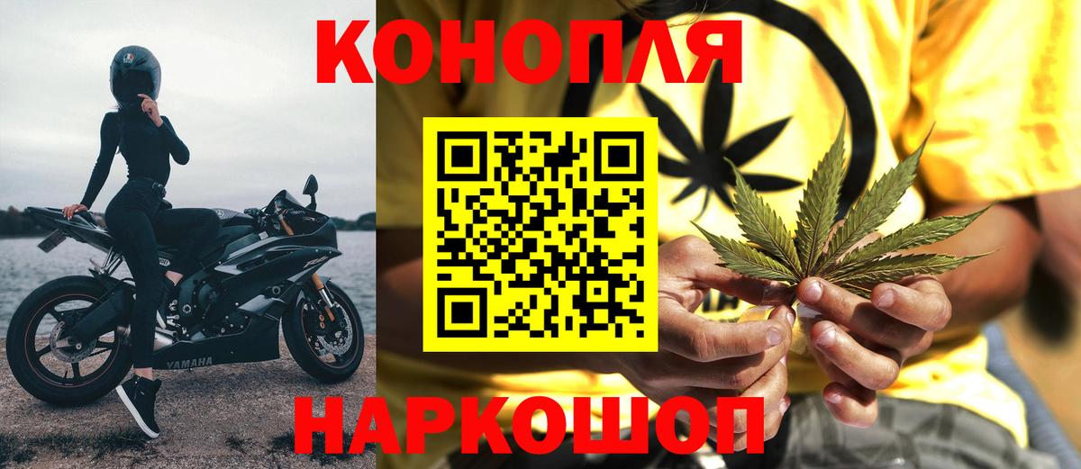 Конопля ГИДРОПОН  Вход с VPN  Каннабис OG Kush  Канабис MAZAR  Трёхгорный 